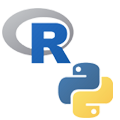 r-python